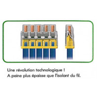 Borne WAGO compacte pour fils rigides 0,5 à 2,5 mm²